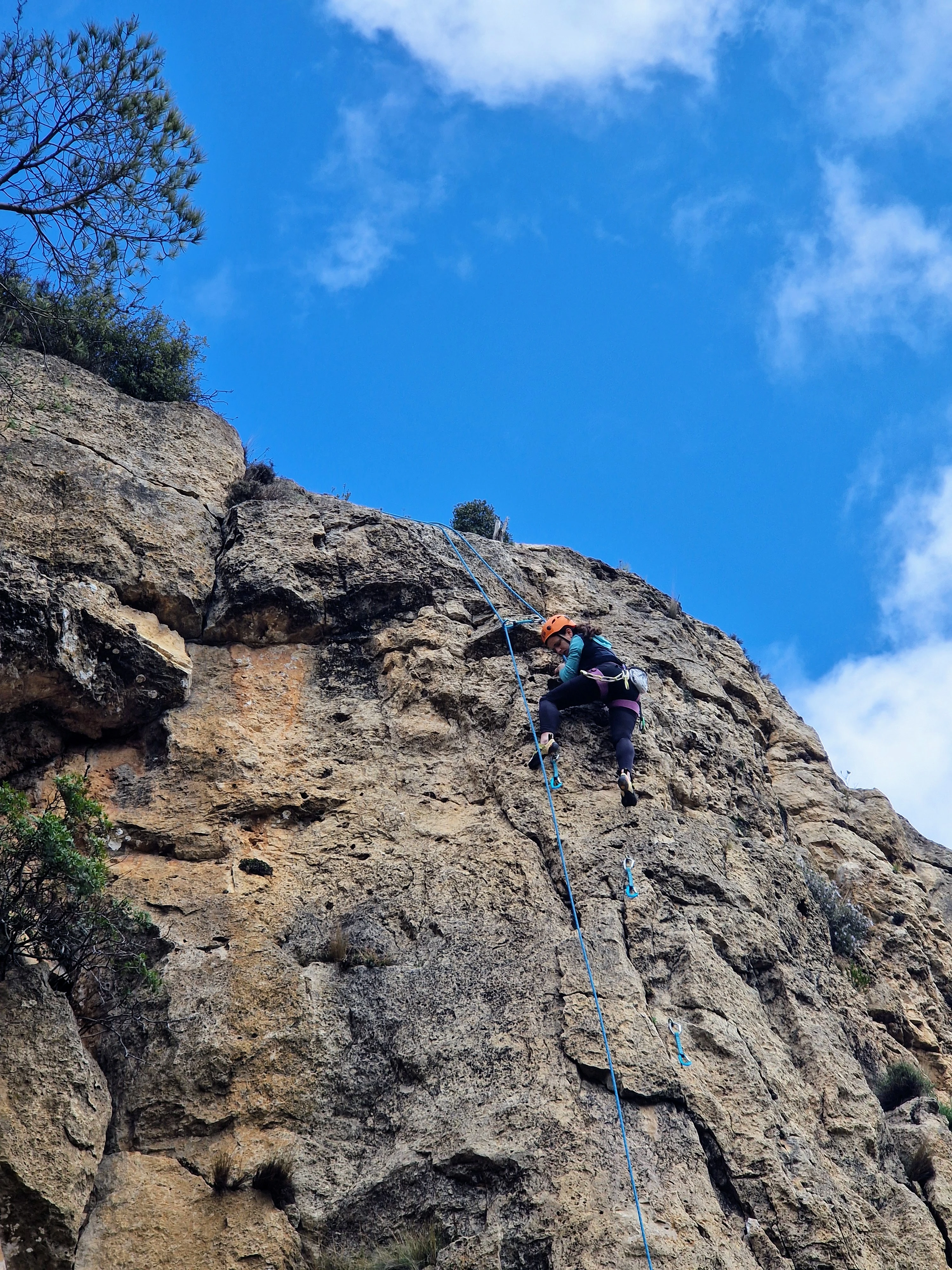 Imagen de actividad 8